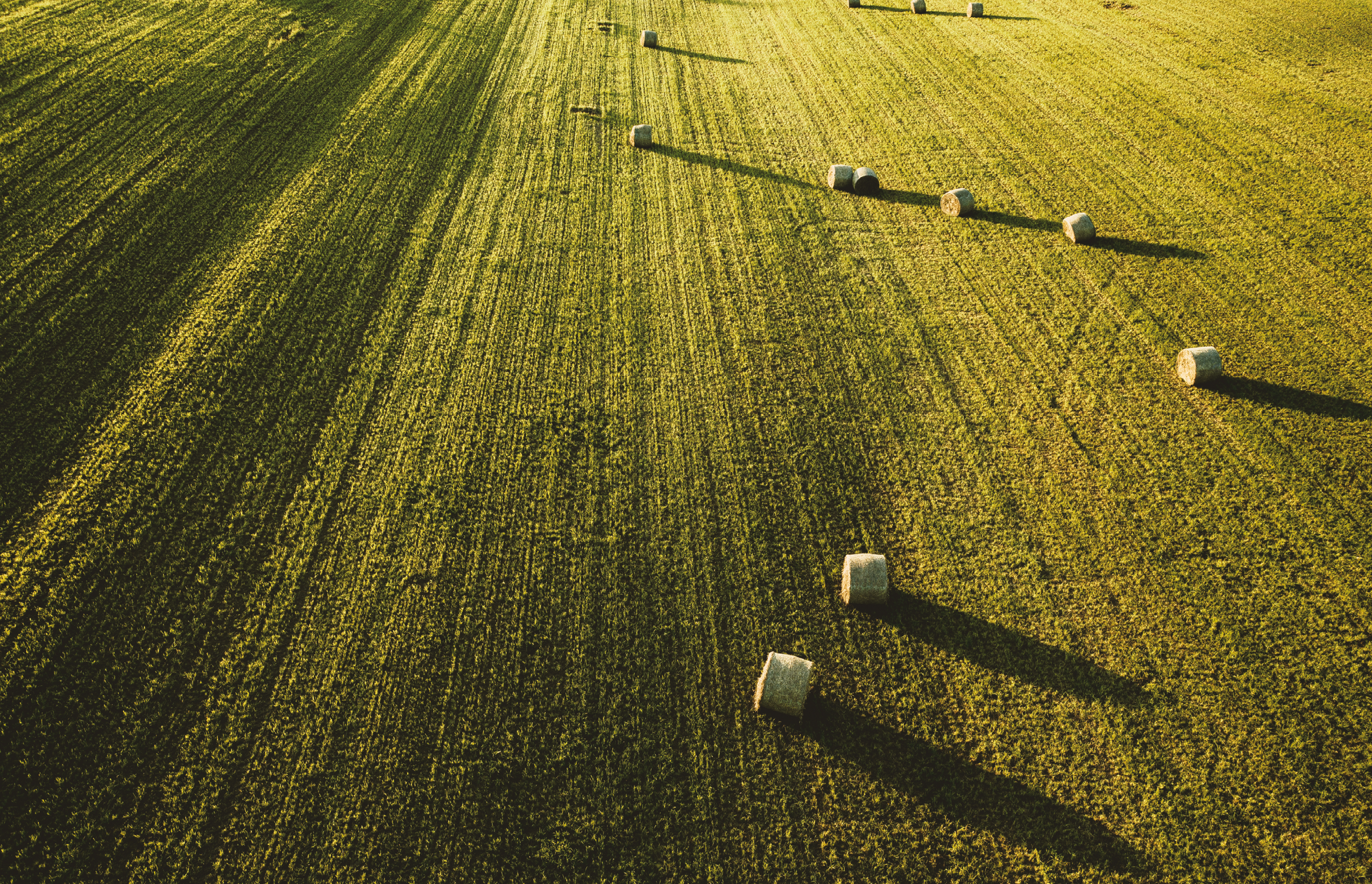 A large beautiful agricultural field with stacks of hay shot from above